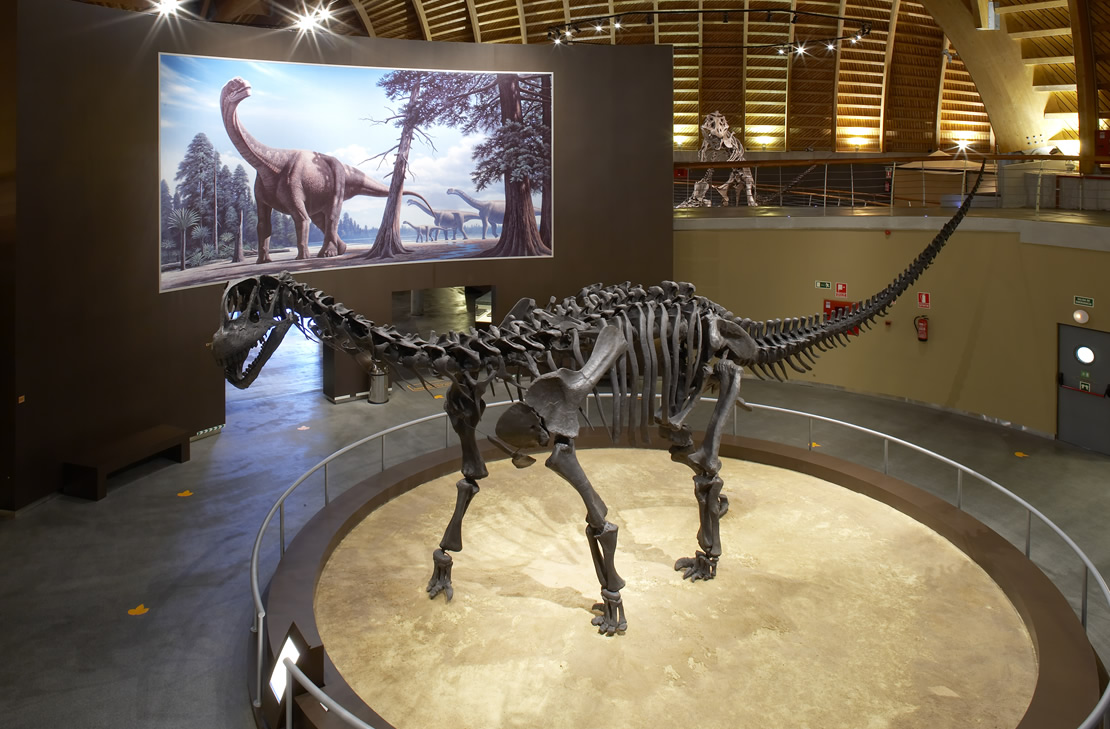 The Jurassic Museum of Asturias ( MUJA)